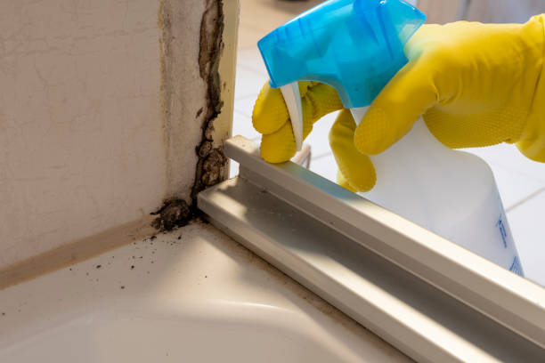 Best Emergency Mold Remediation  in Riverwoods, IL